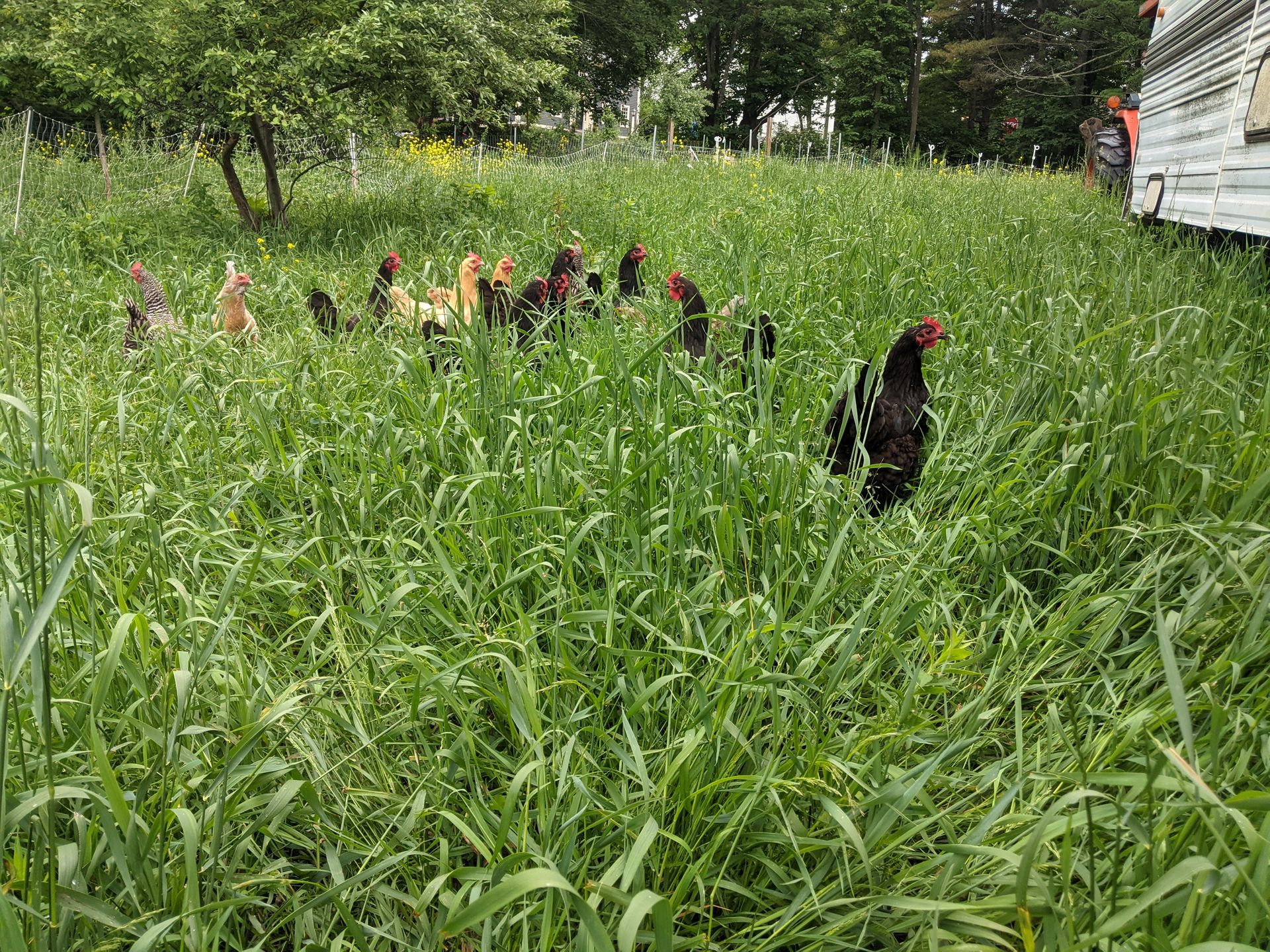 Botl Farm Home | BOTL Farm