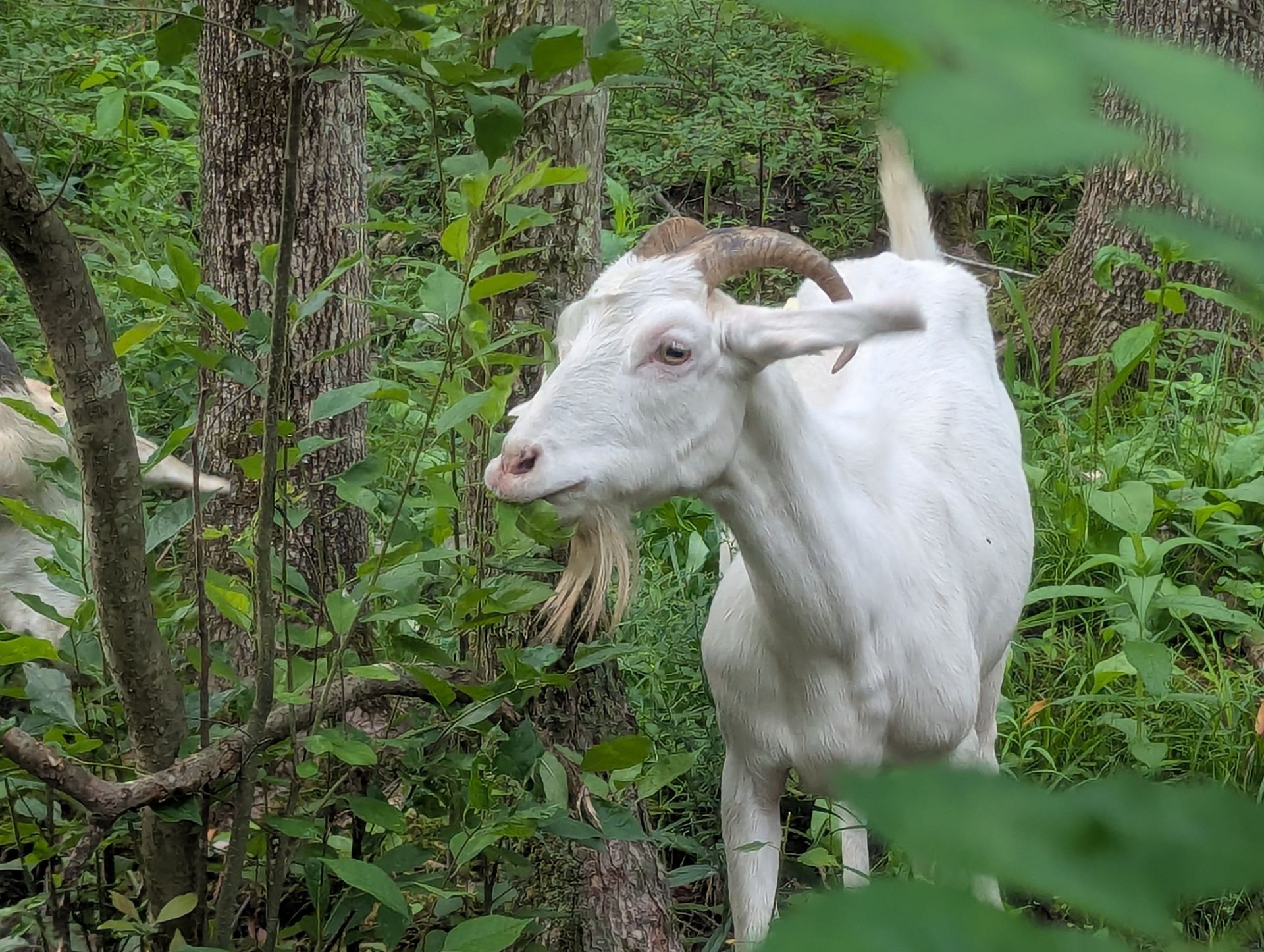 Botl Farm Home | BOTL Farm