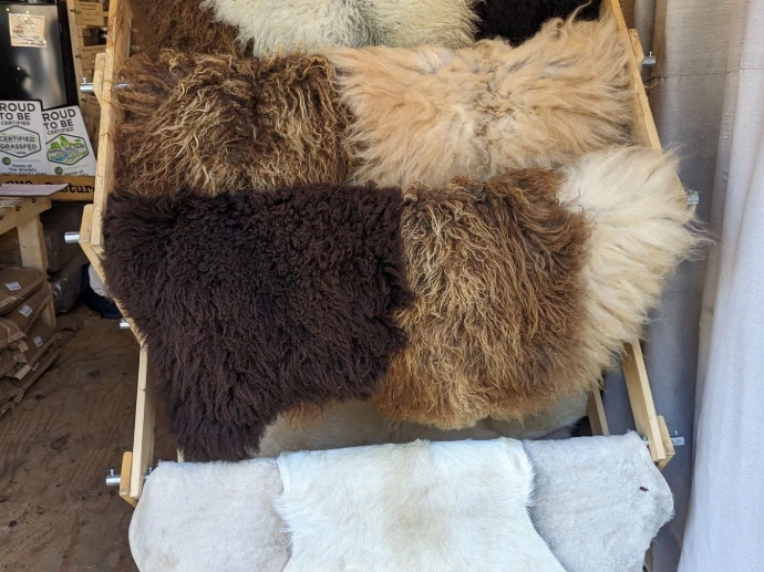 sheepskins