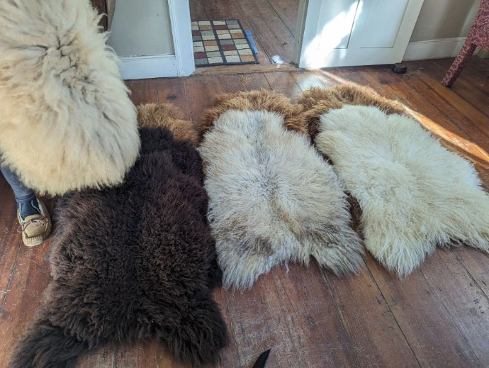 sheepskins