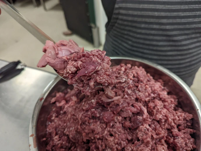 bowl of ground organ