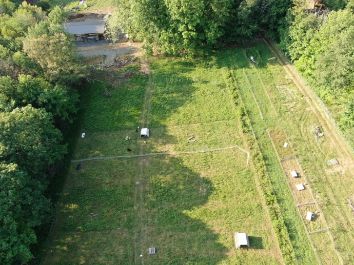 drone shot showing several species of animals in several paddocks in a big field