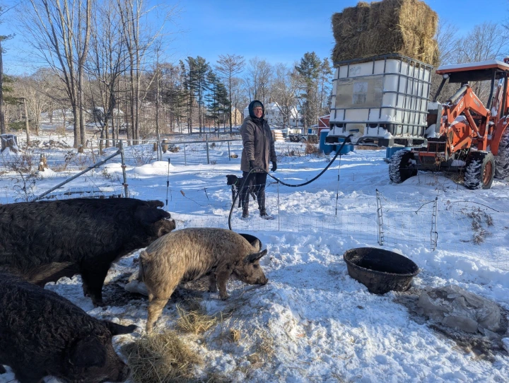 danielle watering pigs