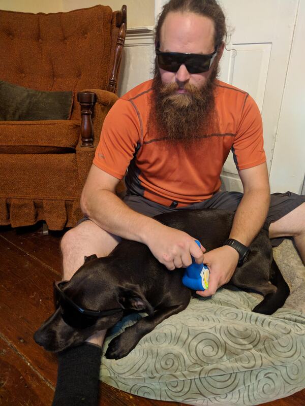 dog laser therapy