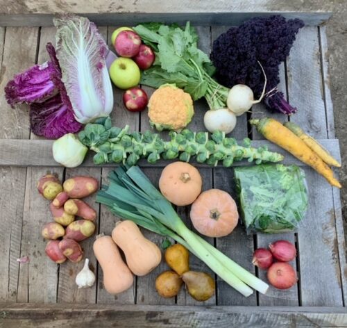 Vegetable Winter CSA glamour shot from Still Life Farm