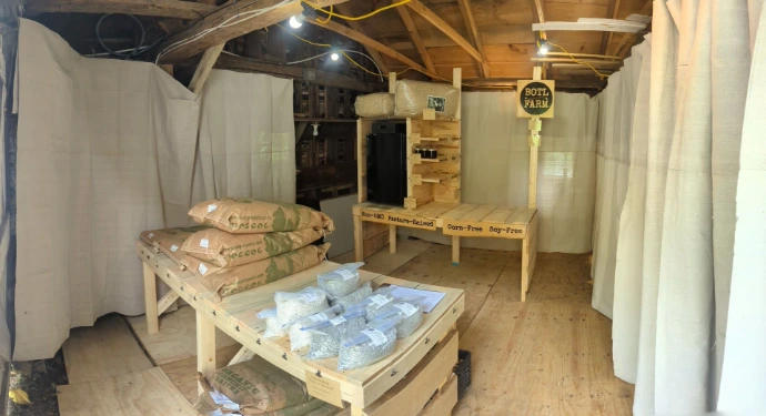 our new farm store with lots of fresh milled farm lumber