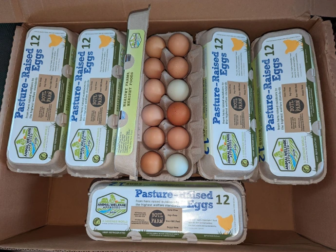 a box with lots of egg cartons, one of them open to display the attractive dozen eggs within